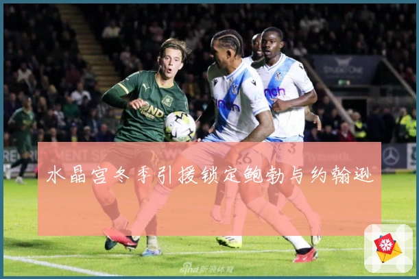 水晶宫冬季引援锁定鲍勃与约翰逊