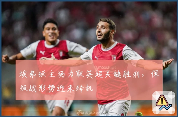 埃弗顿主场力取英超关键胜利，保级战形势迎来转机