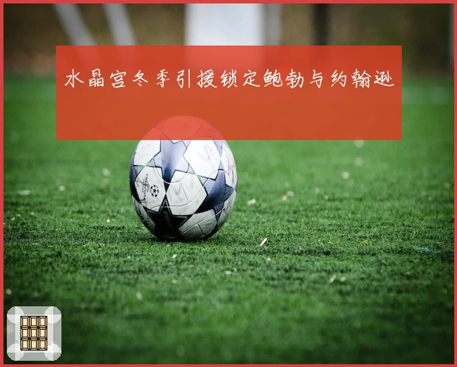 水晶宫冬季引援锁定鲍勃与约翰逊