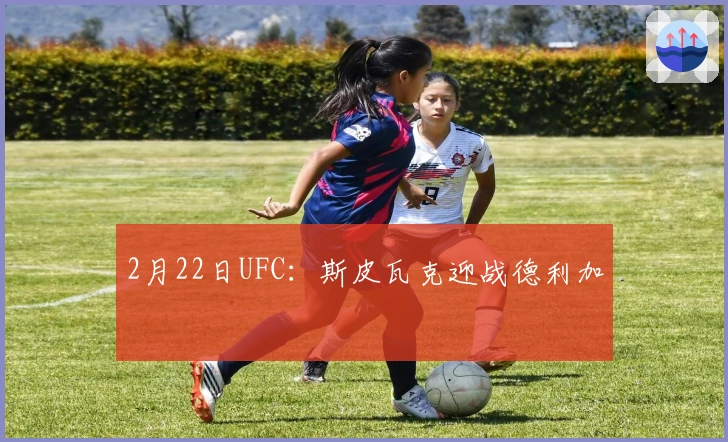 2月22日UFC：斯皮瓦克迎战德利加